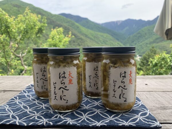 大鹿天空はらぺーにょピクルス - 画像 (2)